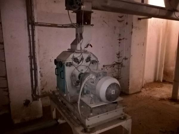 11#3630 Mulino a martelli Fasoli e impianto di trasporto sfarinati in vendita - foto 4