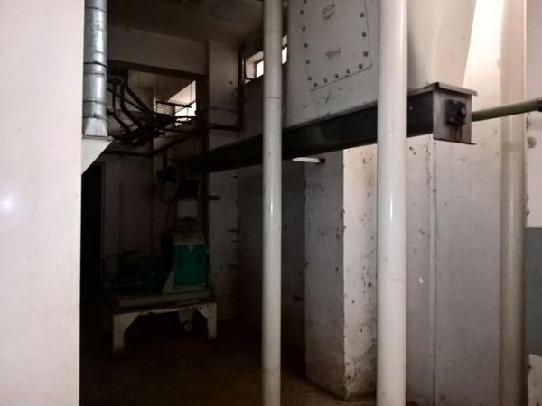 11#3630 Mulino a martelli Fasoli e impianto di trasporto sfarinati in vendita - foto 8
