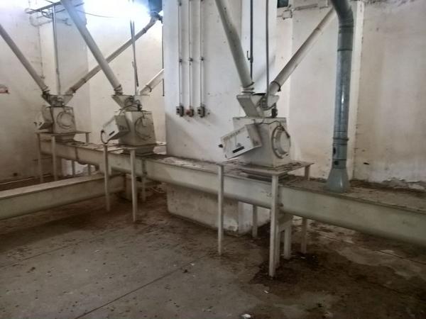 11#3630 Mulino a martelli Fasoli e impianto di trasporto sfarinati in vendita - foto 11