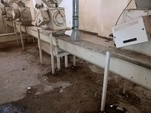 11#3630 Mulino a martelli Fasoli e impianto di trasporto sfarinati in vendita - foto 12