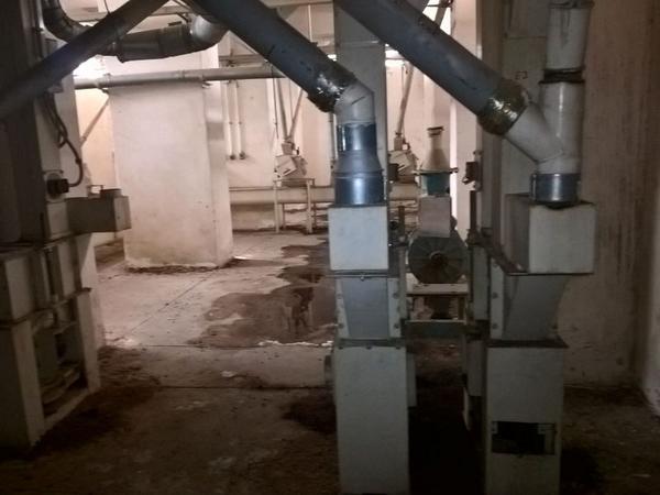 11#3630 Mulino a martelli Fasoli e impianto di trasporto sfarinati in vendita - foto 13