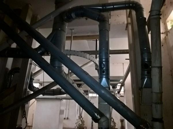 11#3630 Mulino a martelli Fasoli e impianto di trasporto sfarinati in vendita - foto 14