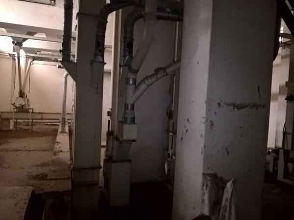 11#3630 Mulino a martelli Fasoli e impianto di trasporto sfarinati in vendita - foto 18
