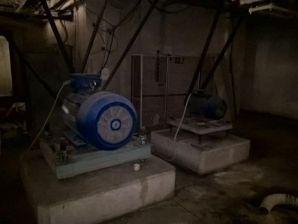 11#3630 Mulino a martelli Fasoli e impianto di trasporto sfarinati in vendita - foto 24