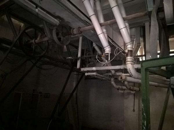 11#3630 Mulino a martelli Fasoli e impianto di trasporto sfarinati in vendita - foto 25