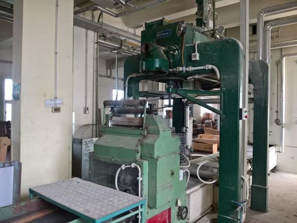 19#3630 Linea di produzione per pasta a nidi Braibanti in vendita - foto 1
