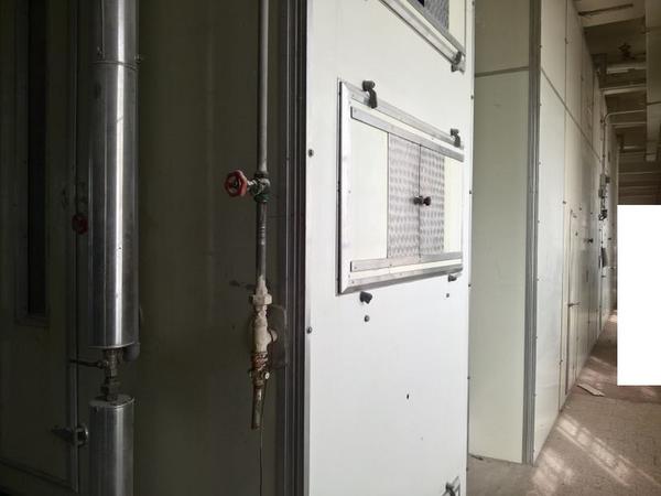 19#3630 Linea di produzione per pasta a nidi Braibanti in vendita - foto 7