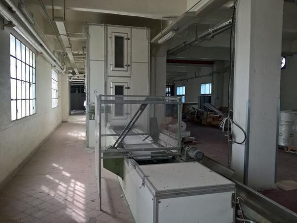 19#3630 Linea di produzione per pasta a nidi Braibanti in vendita - foto 9