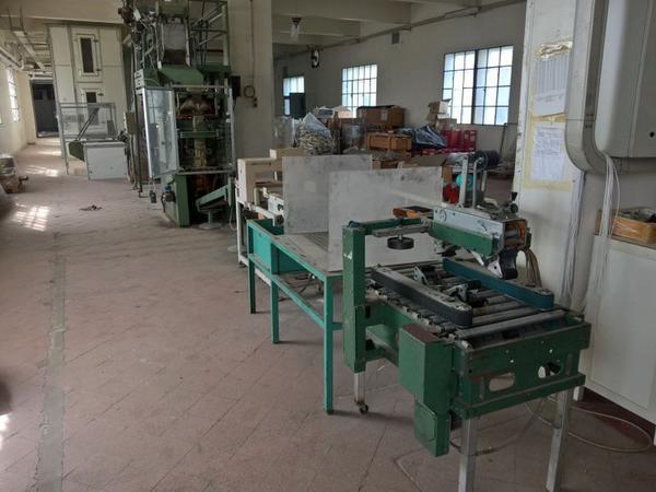 19#3630 Linea di produzione per pasta a nidi Braibanti in vendita - foto 14