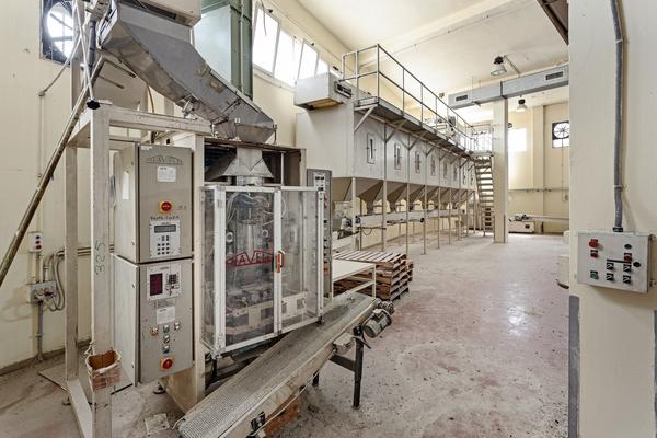 21#3630 Linea Buhler per la produzione di pasta corta in vendita - foto 6