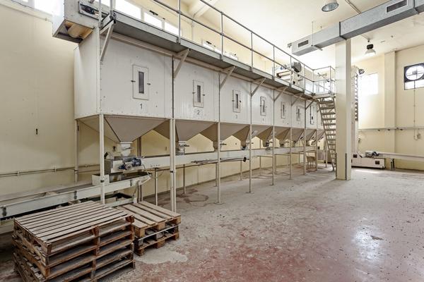 21#3630 Linea Buhler per la produzione di pasta corta in vendita - foto 7