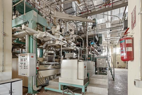 21#3630 Linea Buhler per la produzione di pasta corta in vendita - foto 8