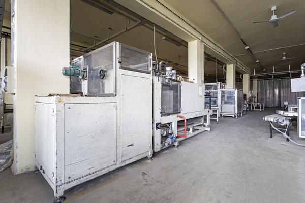 46#3630 Linea di confezionamento per paste corte Stiavelli e fardellatrice Selematic in vendita - foto 4