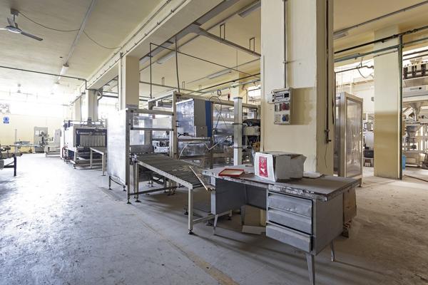 46#3630 Linea di confezionamento per paste corte Stiavelli e fardellatrice Selematic in vendita - foto 5