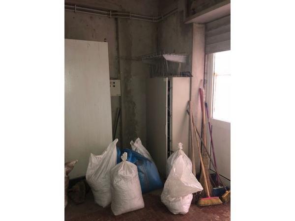 60#3630 Pulitore per grano Ocrim e trasportatore Redler in vendita - foto 4