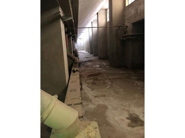60#3630 Pulitore per grano Ocrim e trasportatore Redler in vendita - foto 10