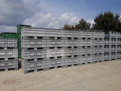 Contenitori Bins - Lotto 3 (Asta 3651)