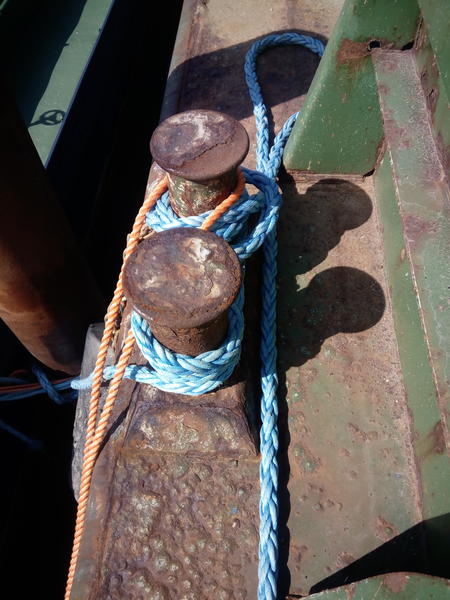 1#3653 Pontone Galleggianti costruito da CANTIERE NAVALE CO.RI.NA. S.r.l. in vendita - foto 32