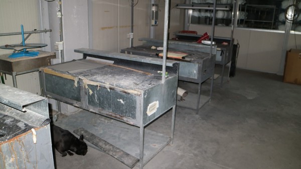 10#36550 Banchi per etichettare in vendita - foto 7