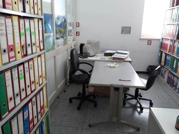 12#3675 Lavatore per piastre Drop e preparatore analisi Alisei in vendita - foto 3