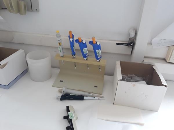 12#3675 Lavatore per piastre Drop e preparatore analisi Alisei in vendita - foto 4