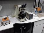 Image 1 - Gelaire laminar flow hood and Olympus BH2 microscope - Lot 20 (Auction 3675)