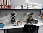 Image 17 - Gelaire laminar flow hood and Olympus BH2 microscope - Lot 20 (Auction 3675)