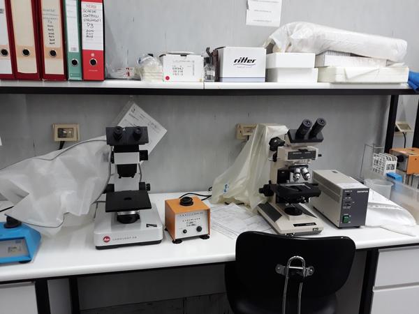 20#3675 Cappa flusso laminare Gelaire e microscopio Olympus BH2 in vendita - foto 17
