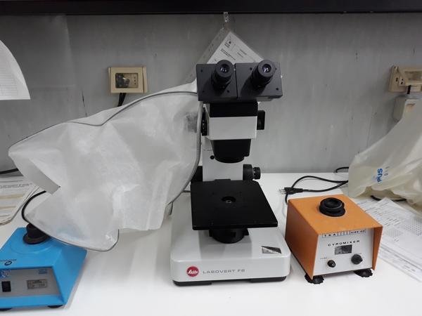 20#3675 Cappa flusso laminare Gelaire e microscopio Olympus BH2 in vendita - foto 18