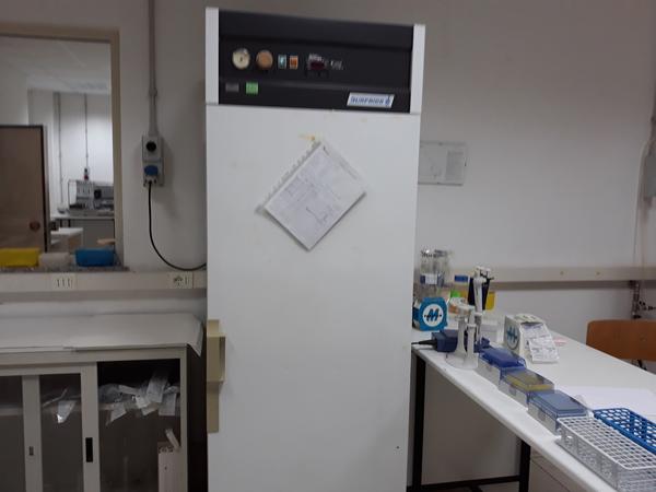 24#3675 Dispensatore lavatore Micropiastre Corima in vendita - foto 6