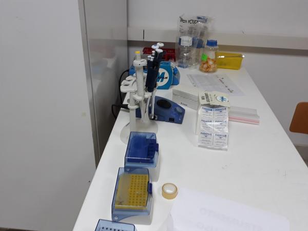 24#3675 Dispensatore lavatore Micropiastre Corima in vendita - foto 7
