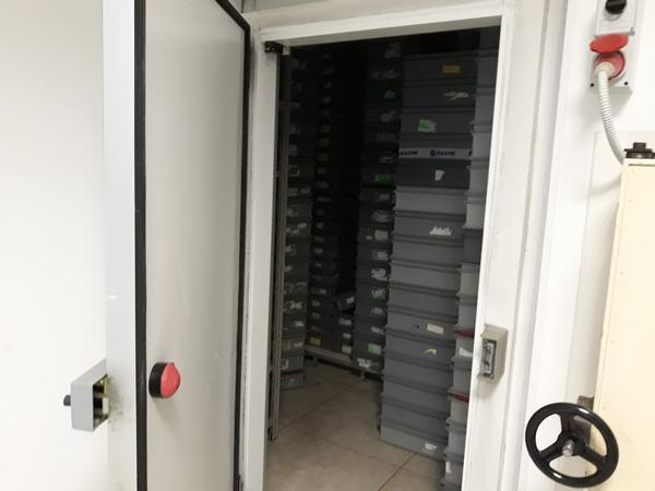 26#3675 Dispenser e lavatore per provette Corima in vendita - foto 7