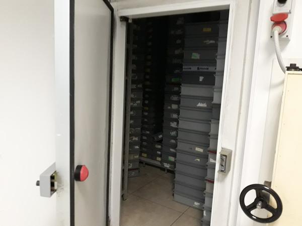 26#3675 Dispenser e lavatore per provette Corima in vendita - foto 8