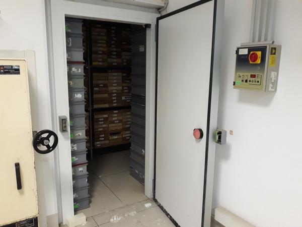 26#3675 Dispenser e lavatore per provette Corima in vendita - foto 10