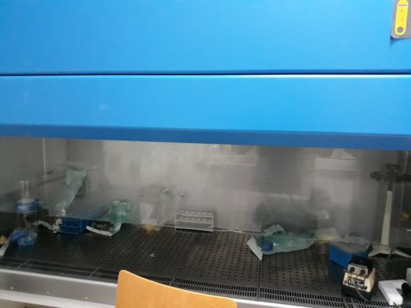 29#3675 Cappa chimica Airone S e centrifuga Beckman in vendita - foto 5