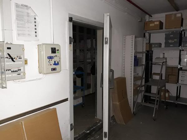 6#3675 Cella termostata Realtrigo e muletto traslatore in vendita - foto 1
