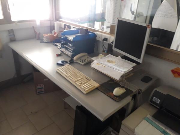 6#3675 Cella termostata Realtrigo e muletto traslatore in vendita - foto 9