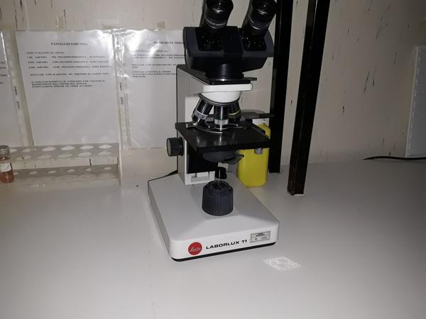 7#3675 Centrifuga ALC e  microscopio Leitz in vendita - foto 4