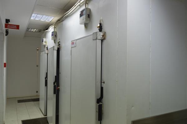 7#3680 Attrezzatura per Cucina Professionale Zanussi in vendita - foto 6