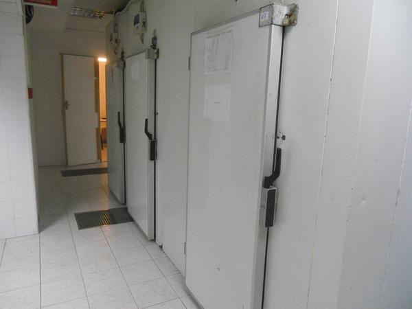 7#3680 Attrezzatura per Cucina Professionale Zanussi in vendita - foto 52