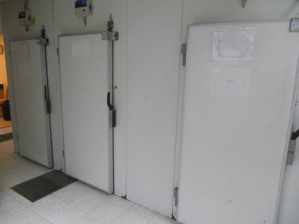 7#3680 Attrezzatura per Cucina Professionale Zanussi in vendita - foto 53