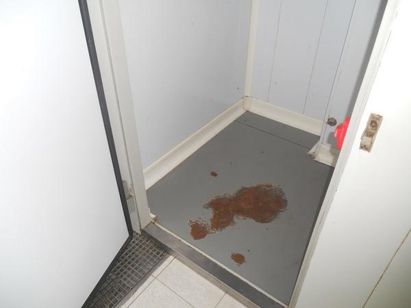 7#3680 Attrezzatura per Cucina Professionale Zanussi in vendita - foto 55