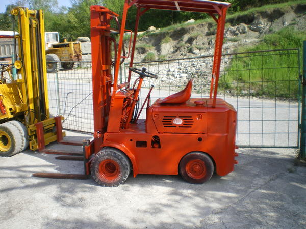 4#3684 Muletto Om in vendita - foto 2