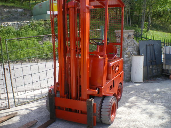 4#3684 Muletto Om in vendita - foto 3
