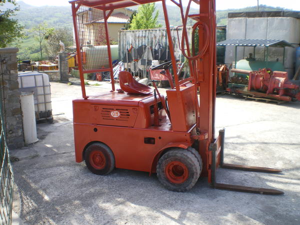 4#3684 Muletto Om in vendita - foto 8