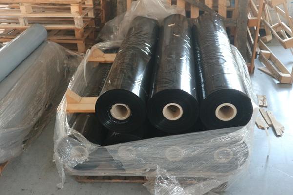 1#3692 Linee di imballaggio Sotemapack e carrelli elevatori Linde in vendita - foto 280