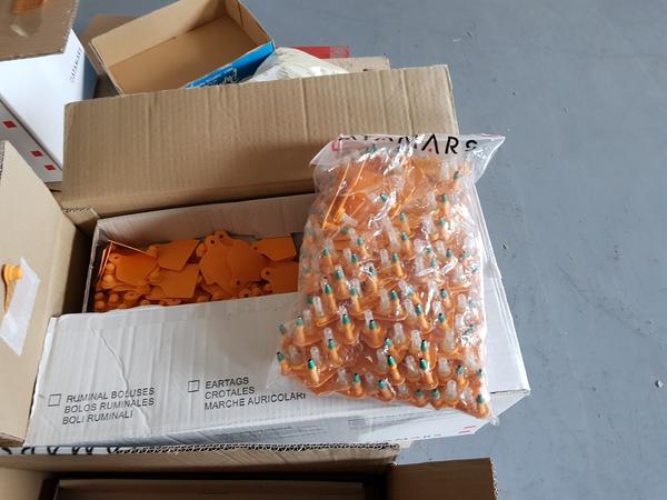 4#3771 Marche identificazione animali e smerigliatrice a doppia mola. in vendita - foto 4