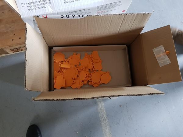 4#3771 Marche identificazione animali e smerigliatrice a doppia mola. in vendita - foto 10