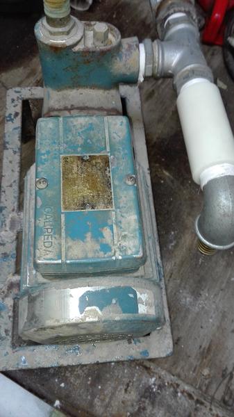 44#3783 Motore elettrico Calpeda con pompa in vendita - foto 1