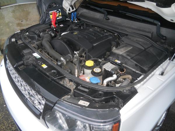 1#3800 Autovettura Range Rover Sport 3.0 TDI in vendita - foto 35